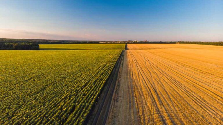 img-campos-agricolas-coloridos